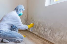 Best Forensic Mold Investigation  in Southmayd, TX